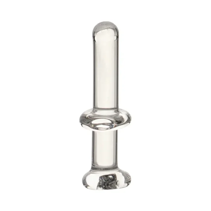 Bio Dab Rig Classic Bubbler w/ Nail 8”