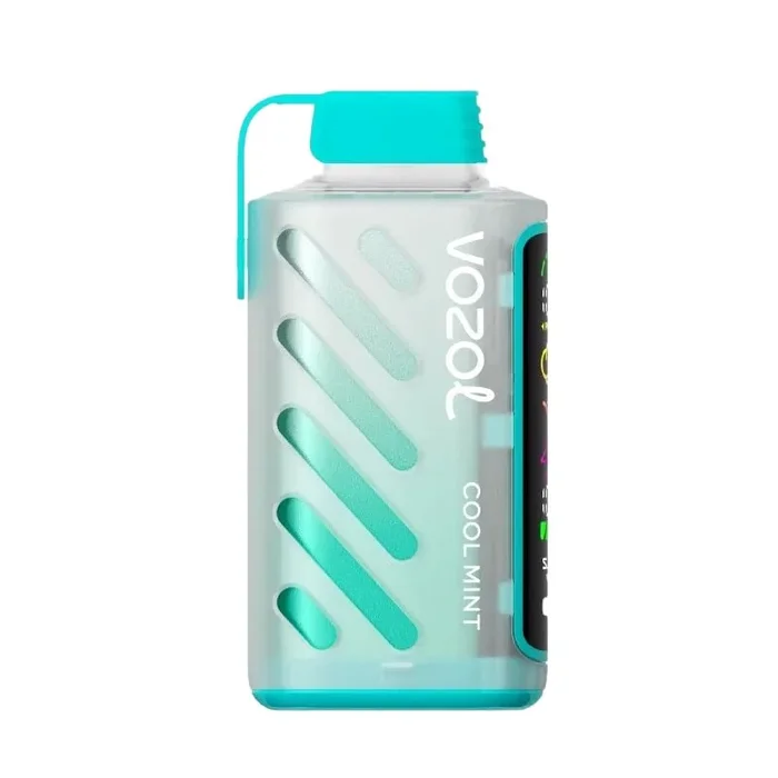 Cool Mint Vozol Gear Power 20000