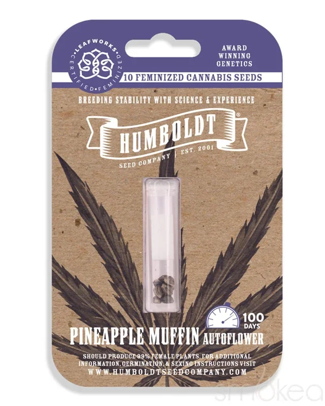 Humboldt Seed Co. Autoflower Cannabis Seeds – Pineapple Muffin